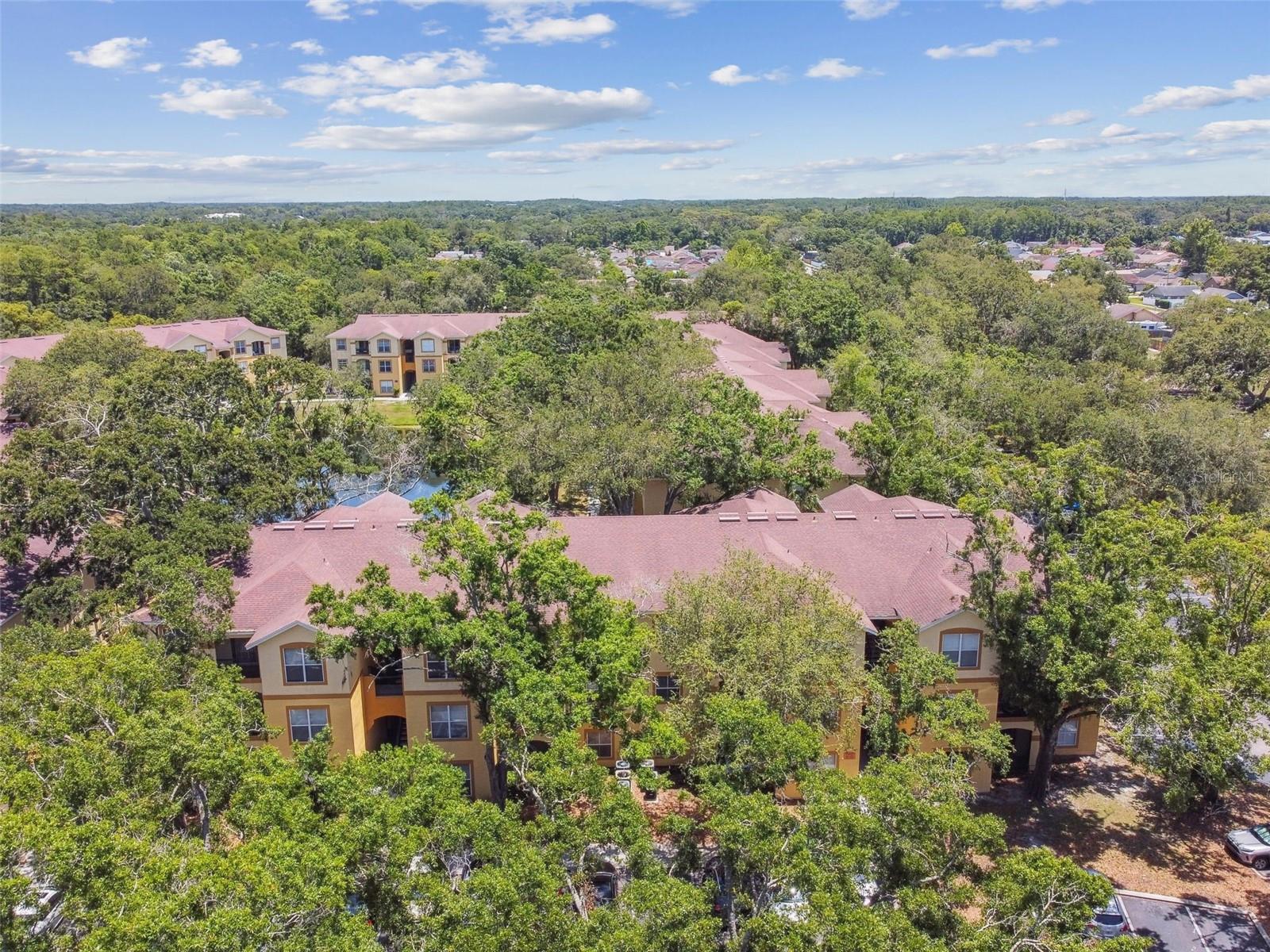 THE PINNACLE AT CARROLLWOOD A - Residential