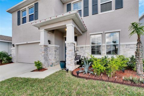 A home in APOLLO BEACH