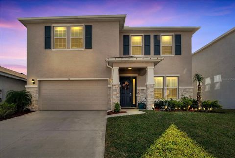 A home in APOLLO BEACH