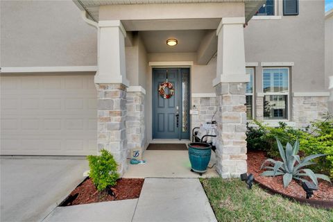 A home in APOLLO BEACH