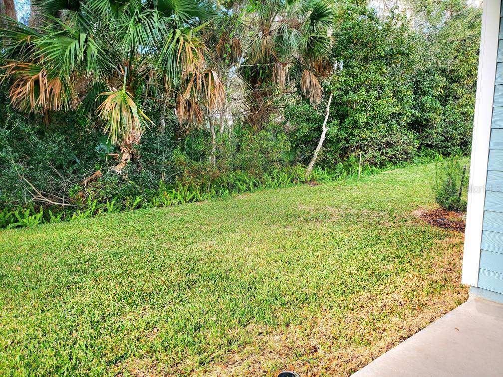 HAMMOCK AT PALM HARBOR - Residential Lease