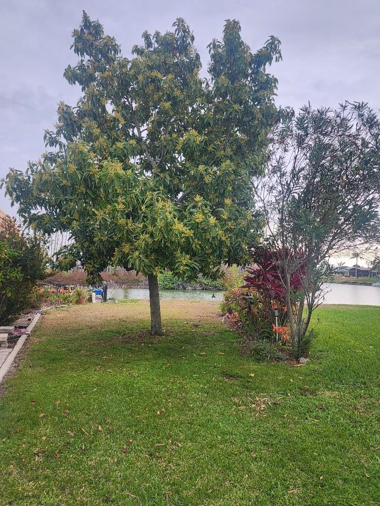 DEL WEBBS SUN CITY FLORIDA UN - Residential