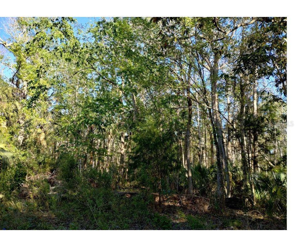 **6.2-Acre Private Retreat Near Hernando Beach!!**
This rare 6.2-acre property near the desirable Hernando Beach area offers a perfect blend of privacy, nature, and water access. Featuring a mix of buildable land and picturesque wetlands, this lot provides a unique opportunity to create your dream retreat while enjoying Florida’s natural beauty. Conveniently located near the Gulf, Aripeka fishing and boat docks, and just minutes from coastal dining and recreation. As a bonus, the property includes private access to a gated park with a boat dock, making it ideal for boating, fishing, and outdoor enthusiasts. Don't miss this chance to own a slice of paradise!