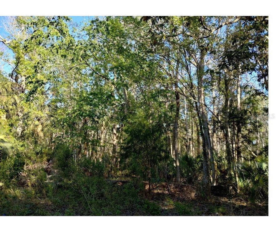 **6.2-Acre Private Retreat Near Hernando Beach!!**  

This rare 6.2-acre property near the desirable Hernando Beach area offers a perfect blend of privacy, nature, and water access. Featuring a mix of buildable land and picturesque wetlands, this lot provides a unique opportunity to create your dream retreat while enjoying Florida’s natural beauty. Conveniently located near the Gulf, Aripeka fishing and boat docks, and just minutes from coastal dining and recreation. As a bonus, the property includes private access to a gated park with a boat dock, making it ideal for boating, fishing, and outdoor enthusiasts. Don't miss this chance to own a slice of paradise!