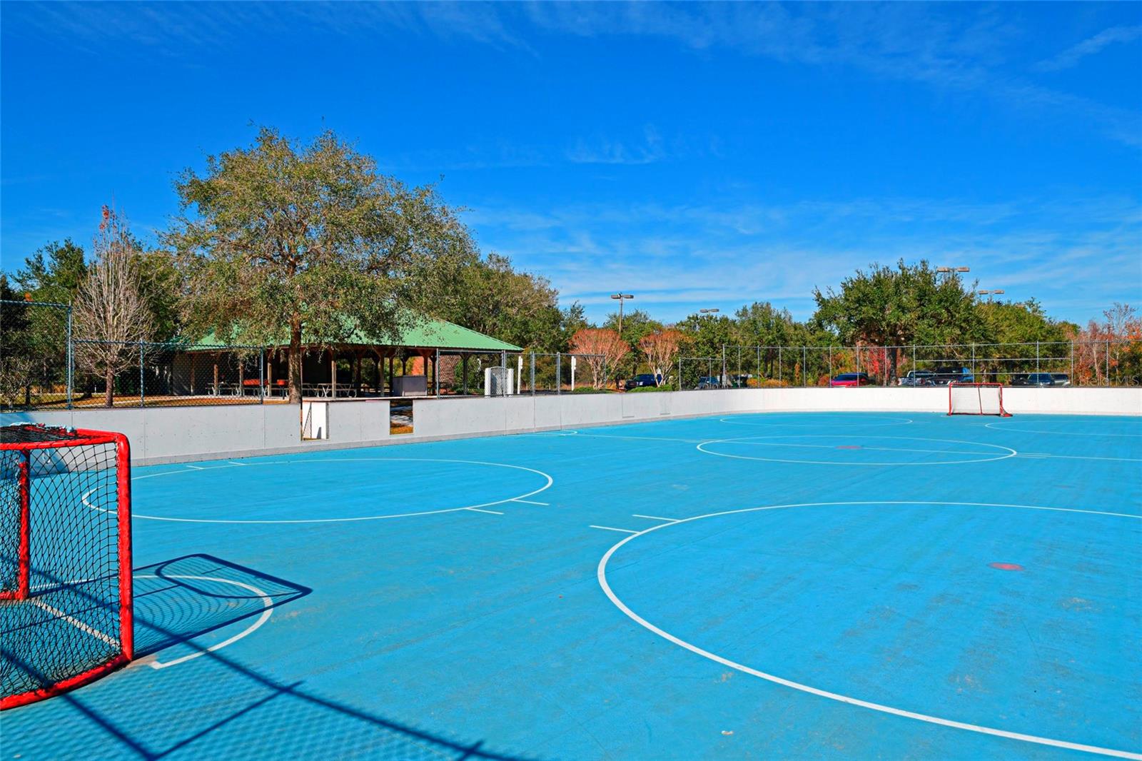 SUMMERFIELD VILLAGE SUBPHASE C U11 - Residential