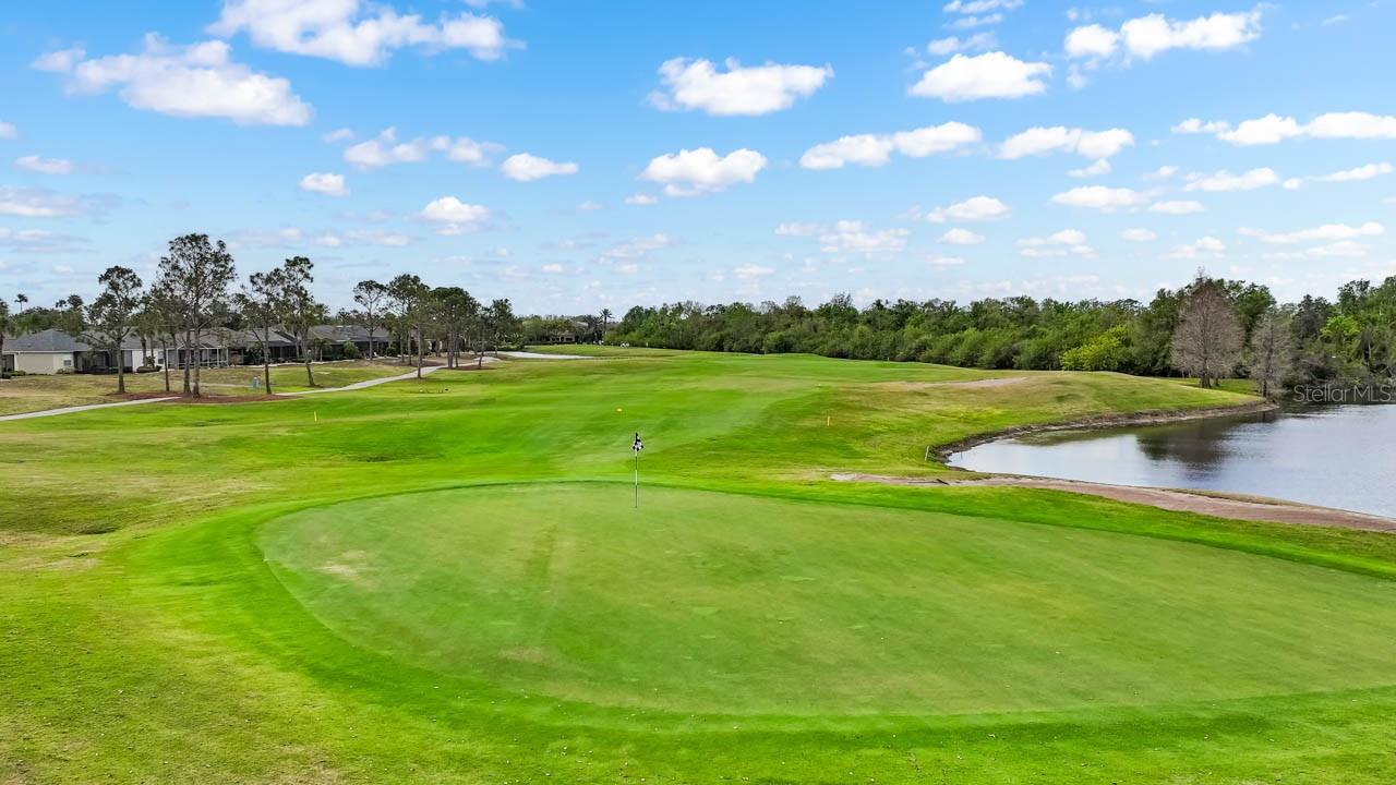 DEL WEBBS SUN CITY FLORIDA UN - Residential