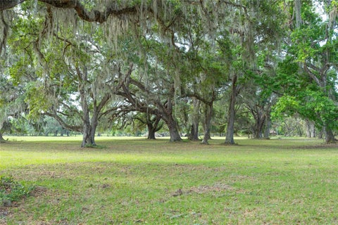 Tiny photo for Tbd Cr 772b, Webster, FL 33597 (MLS # G5096925)