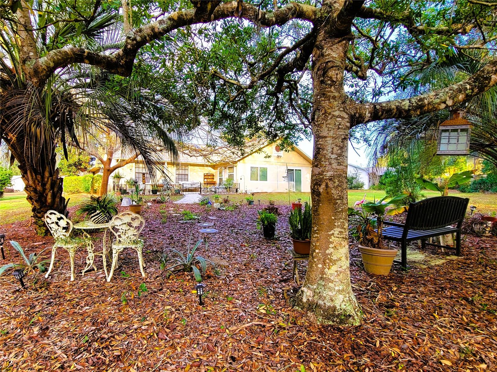 6074 W DOUNERAY LOOP