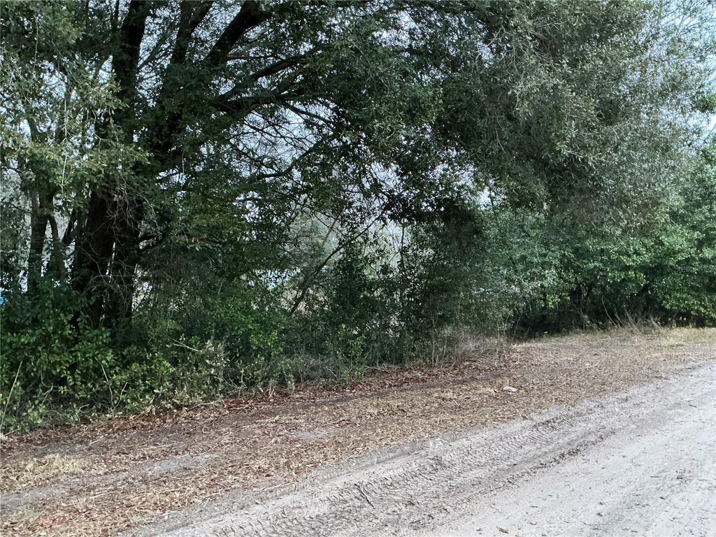 Photo of 0 SE 143rd Place, Summerfield, FL 34491 (MLS # OM711529)