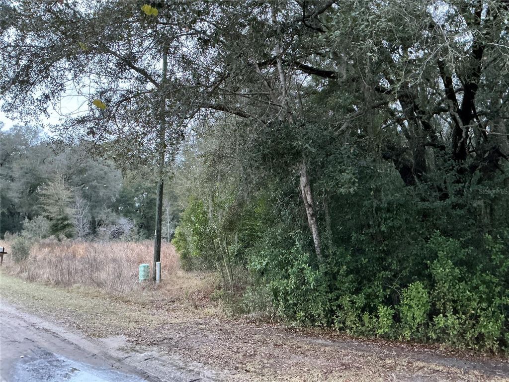 Photo of 0 SE 143rd Place, Summerfield, FL 34491 (MLS # OM711529)