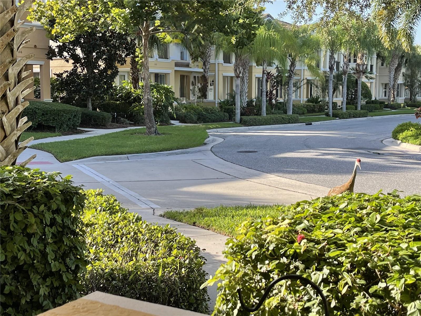 3810 82ND AVENUE CIRCLE E 106