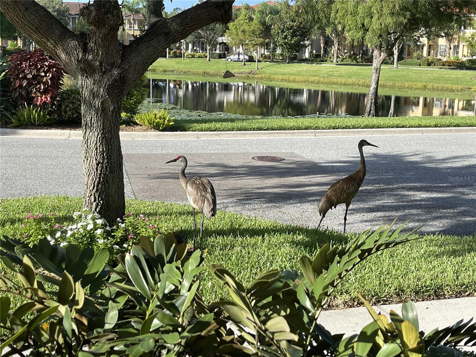 3810 82ND AVENUE CIRCLE E 106