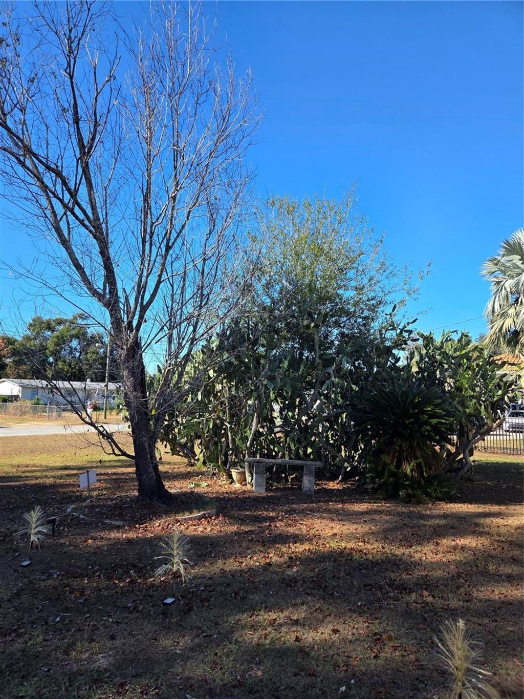 Photo of 505 Murcott Place, Valrico, FL 33594 (MLS # TB8453122)