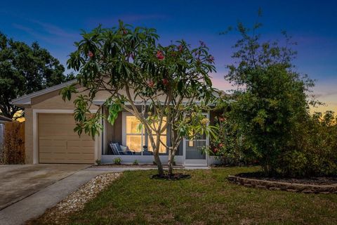 2807 NORTHCOTE DRIVE PALM HARBOR FL 34684