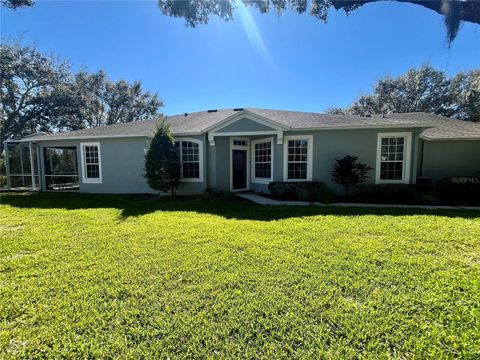 6040 SANDHILL RIDGE DRIVE LITHIA FL 33547