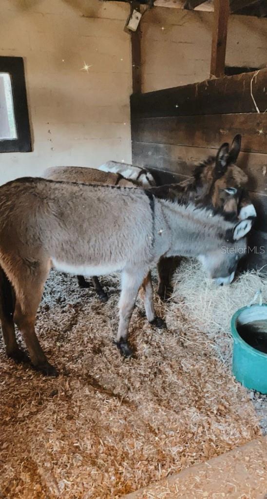 QUIET PLACE IN COUNTRY UNIT 01-04 - Residential