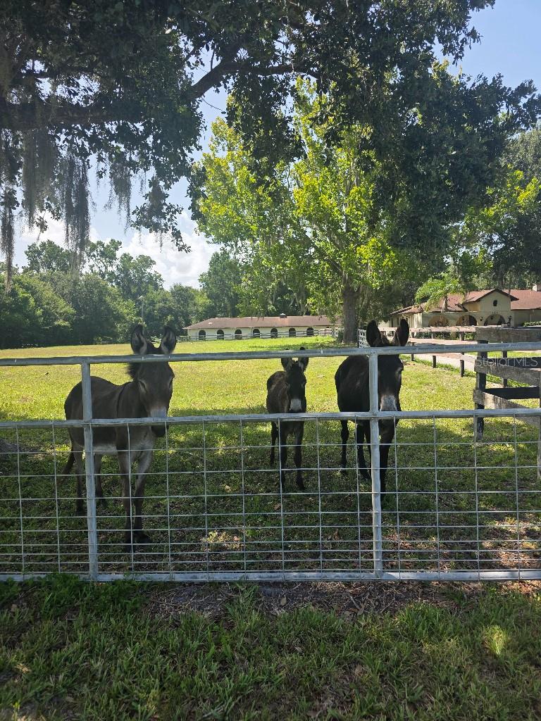 QUIET PLACE IN COUNTRY UNIT 01-04 - Residential