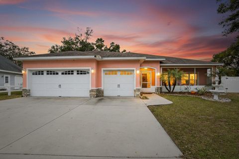 Photo of 730 Pinner Court, Lake Alfred, FL 33850 (MLS # TB8476116)