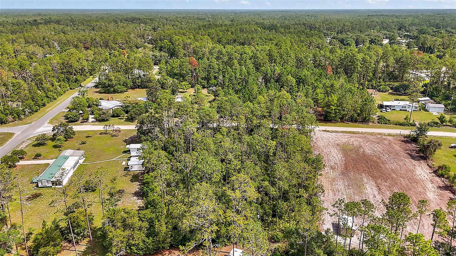 203 PONDEROSA PINE COURT