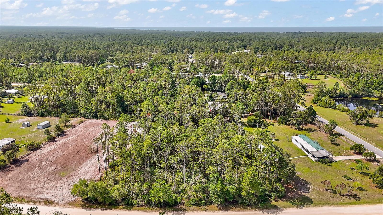 203 PONDEROSA PINE COURT