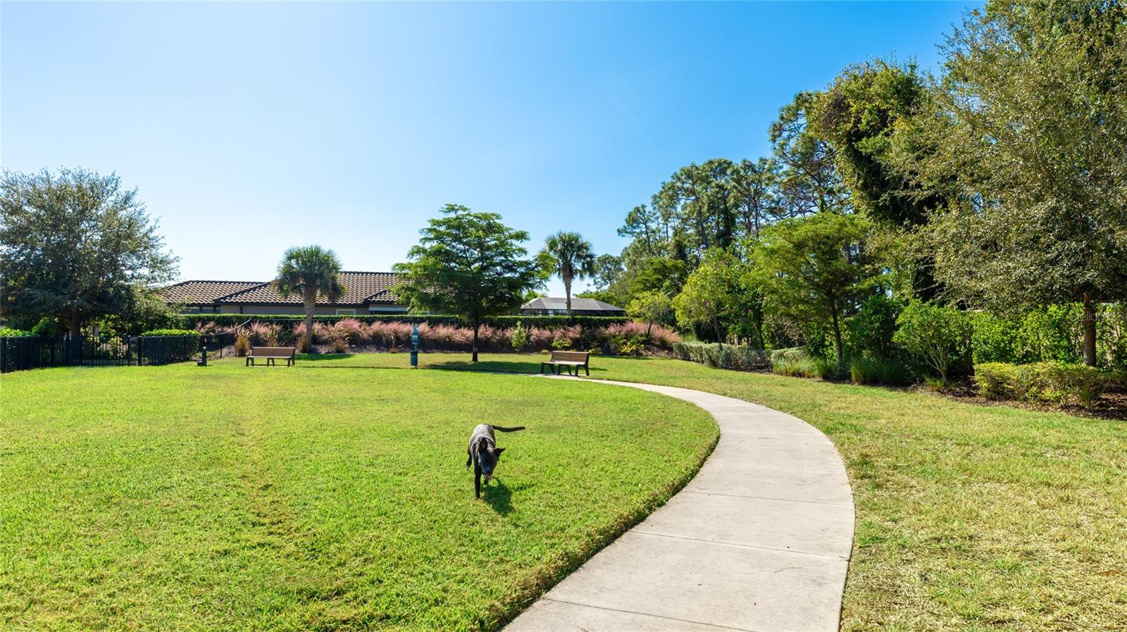 BELLACINA BY CASEY KEY PH 3 - Residential