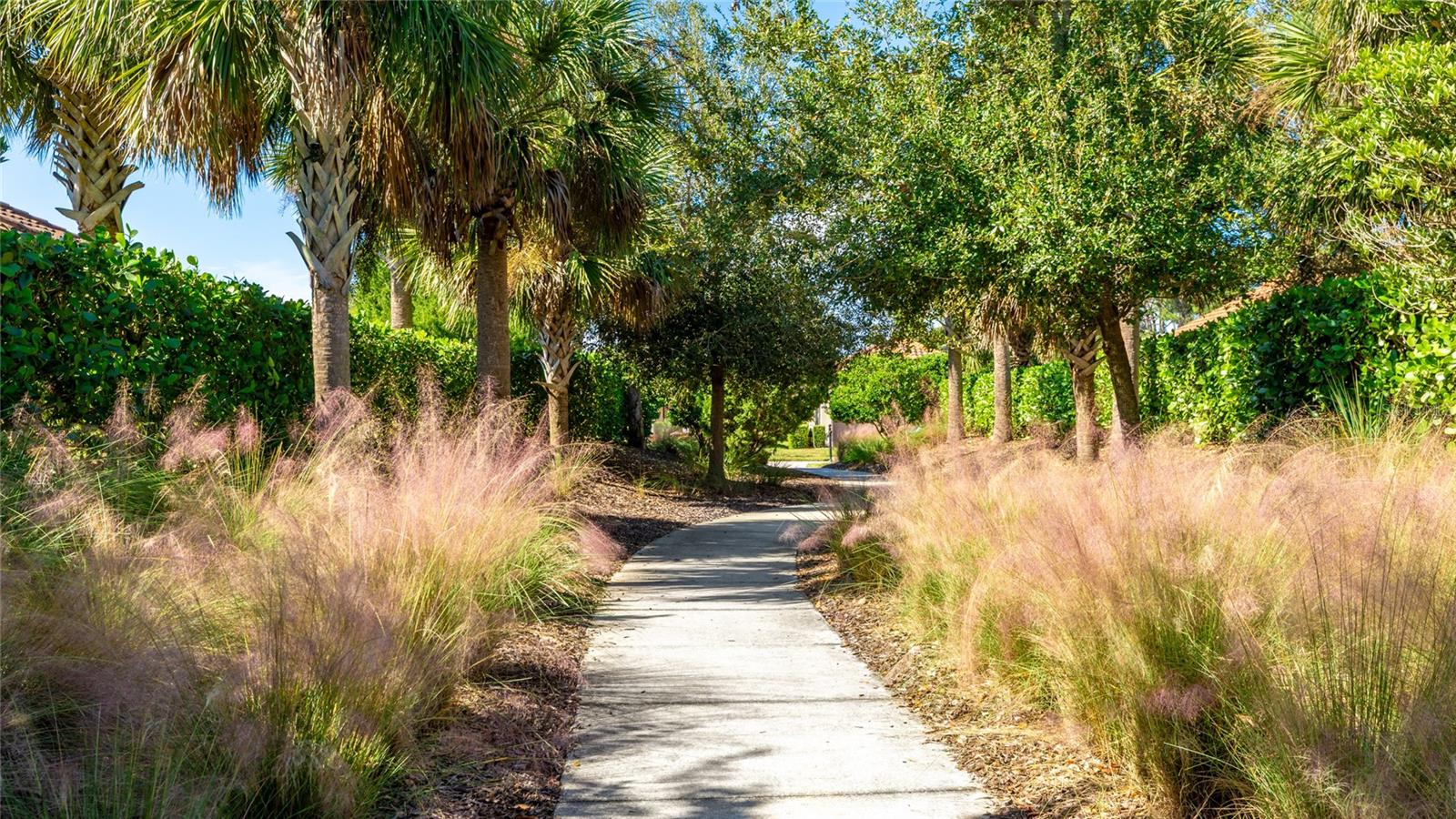 BELLACINA BY CASEY KEY PH 3 - Residential