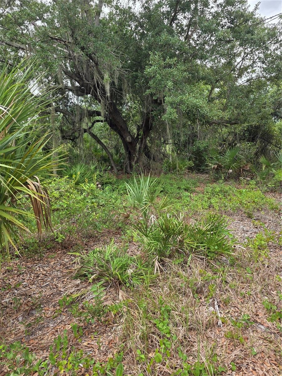 Photo of 2354 Marcella Terrace, Punta Gorda, FL 33983 (MLS # C7529270)
