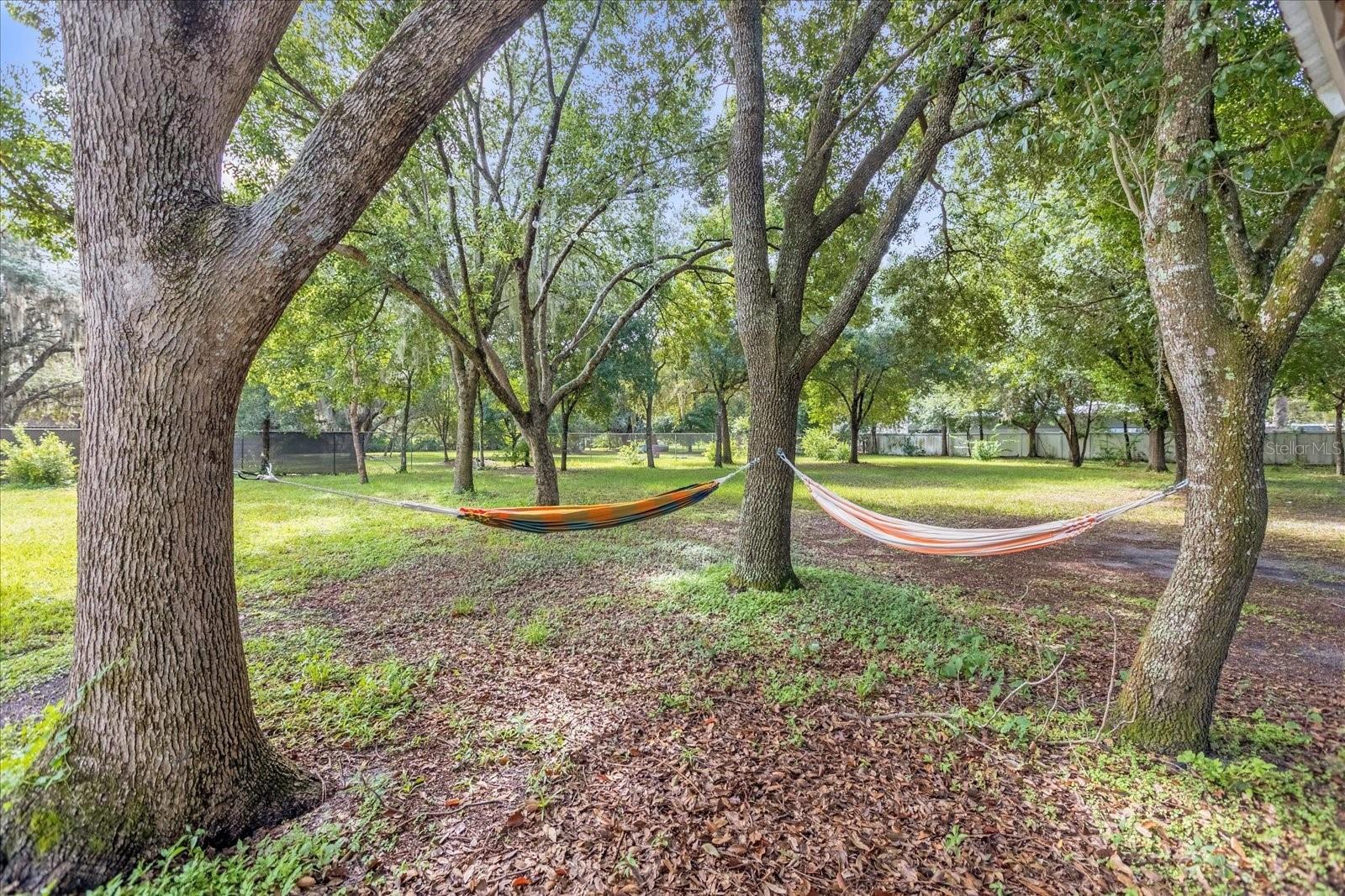 RUNNYMEDE OAKS UNREC - Residential