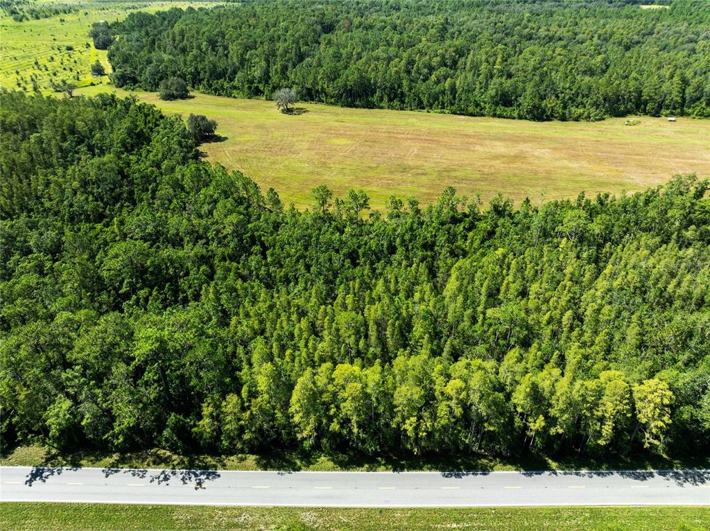 Photo of Deen Still Road, Polk City, FL 33868 (MLS # O6337157)