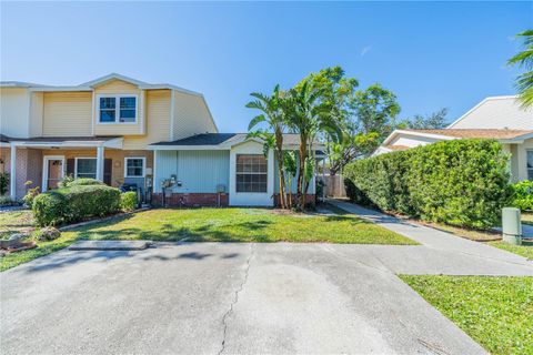 A home in TAMPA