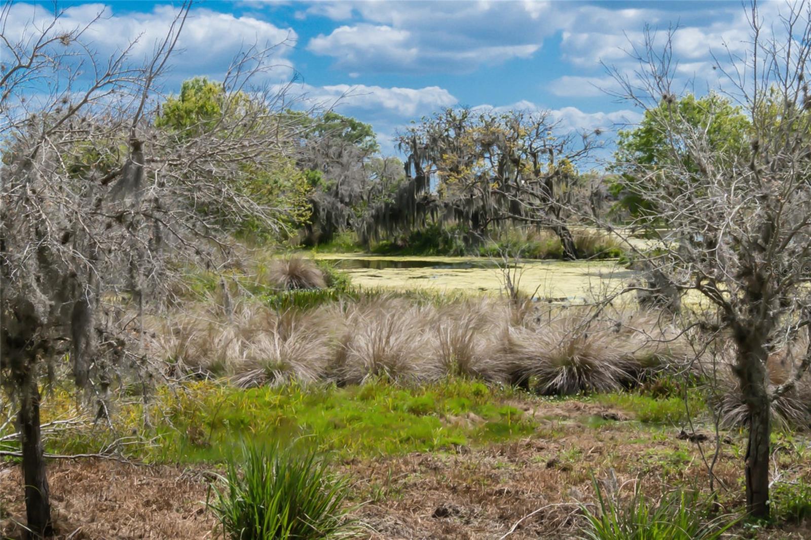 CENTRAL PARK SUBPHASE B-2A & B-2C - Residential