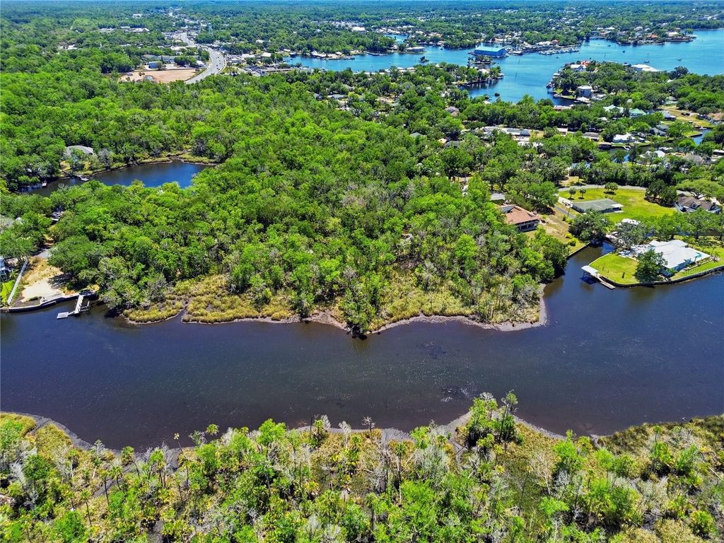 Photo of 650 Miller Creek Road, Crystal River, FL 34428 (MLS # OM724011)