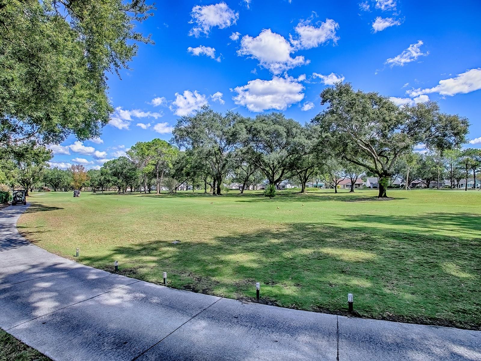 LADY LAKE ORANGE BLOSSOM GARDENS UNIT 15 - Residential