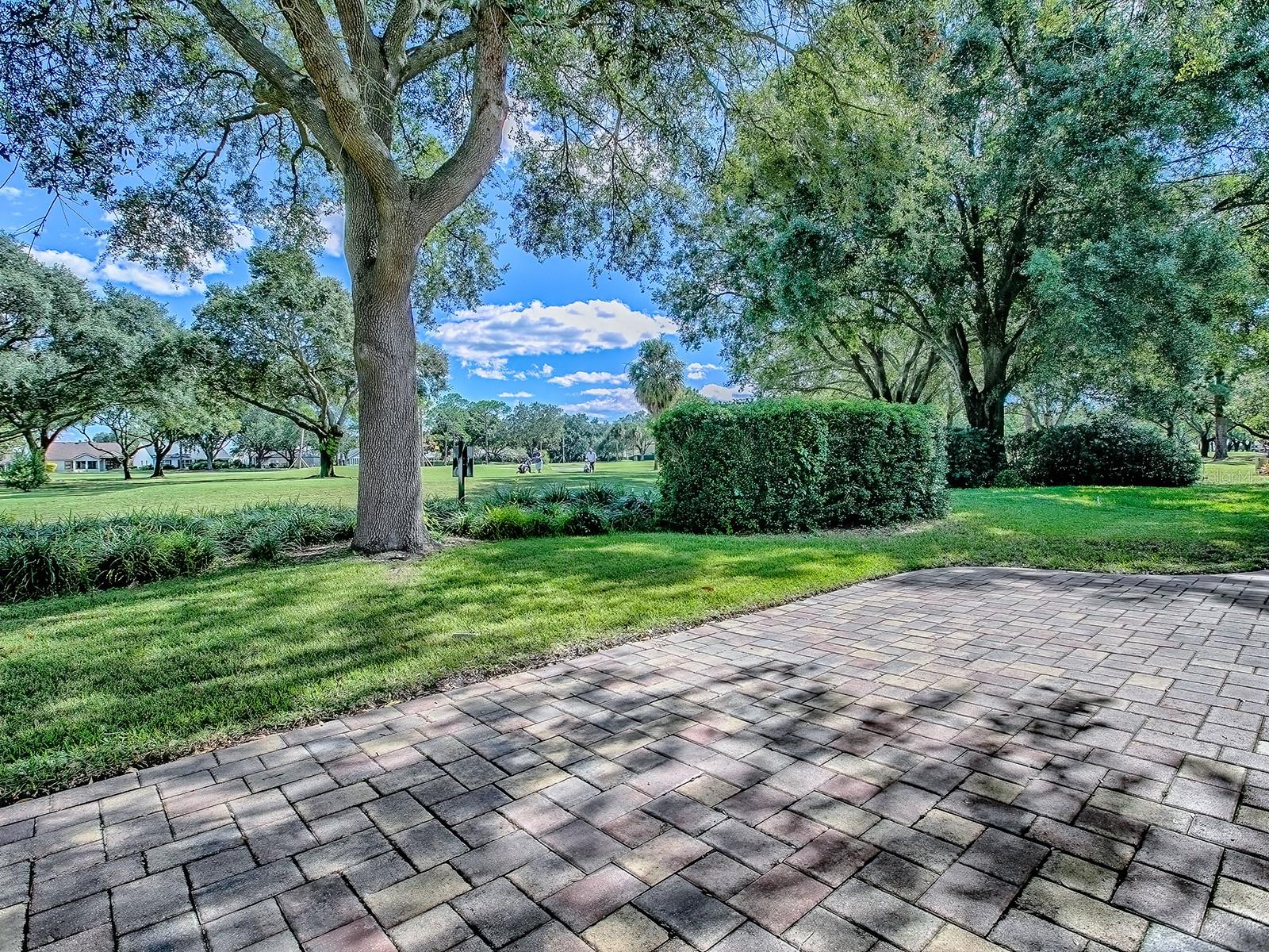 LADY LAKE ORANGE BLOSSOM GARDENS UNIT 15 - Residential