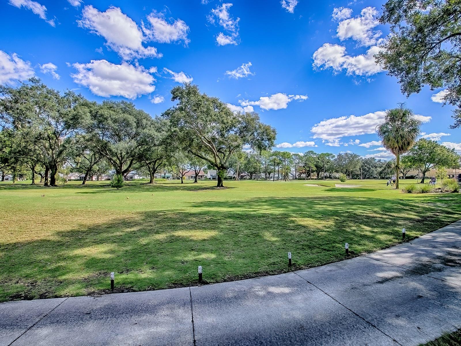 LADY LAKE ORANGE BLOSSOM GARDENS UNIT 15 - Residential