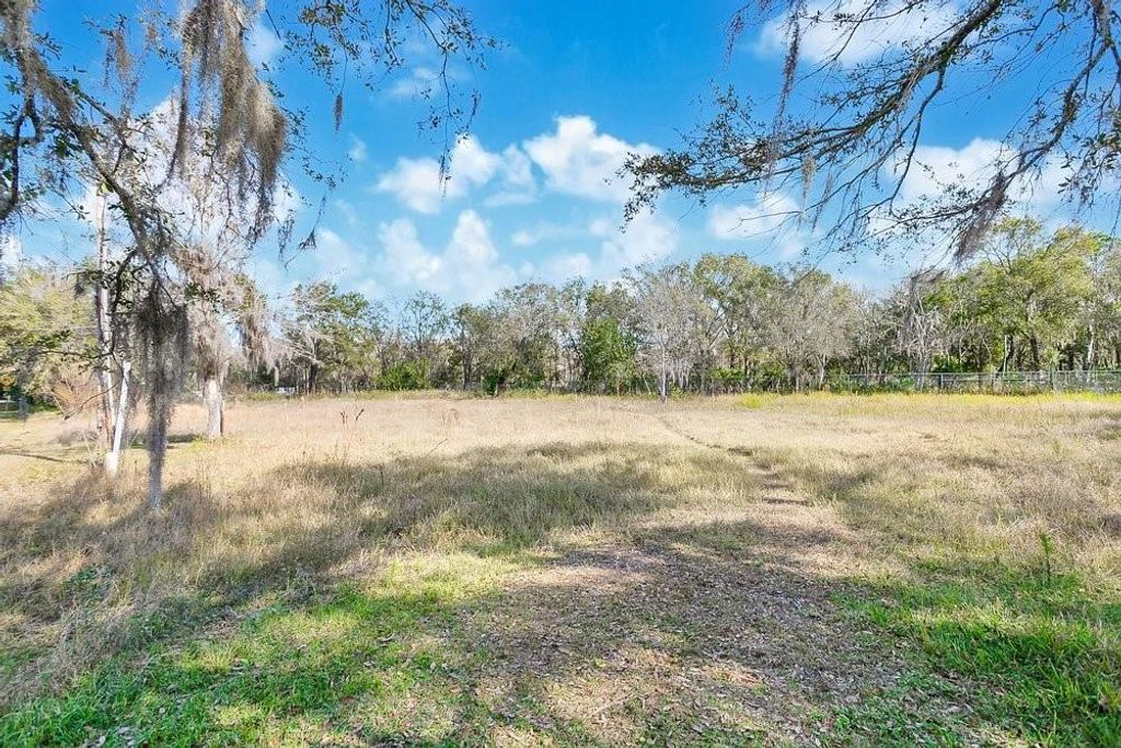 Photo of 1426 Sierra Pines Boulevard, Lutz, FL 33558 (MLS # O6373924)