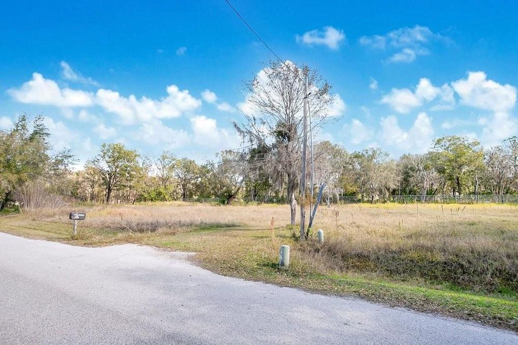 Photo of 1426 Sierra Pines Boulevard, Lutz, FL 33558 (MLS # O6373924)