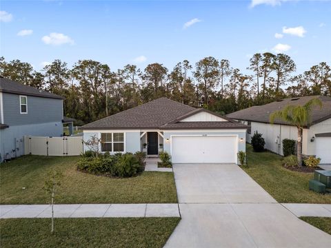 A home in WESLEY CHAPEL