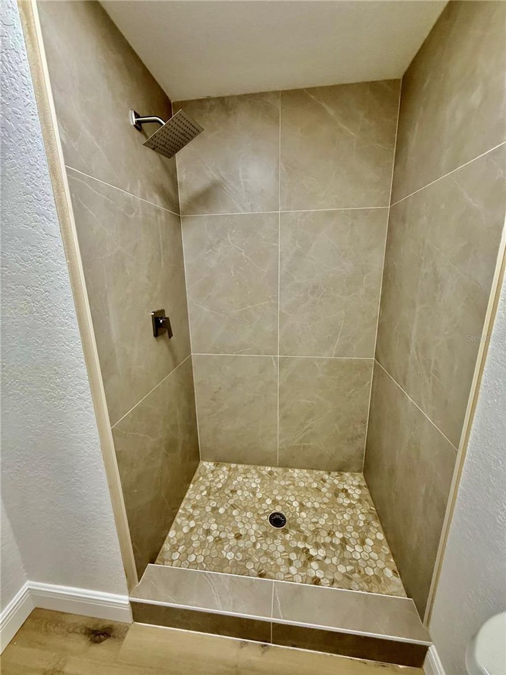 Photo of 133 Sabal Court #B, Oldsmar, FL 34677 (MLS # TB8475994)