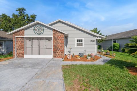 Photo of 37420 Teaberry Loop, Zephyrhills, FL 33542 (MLS # TB8389465)