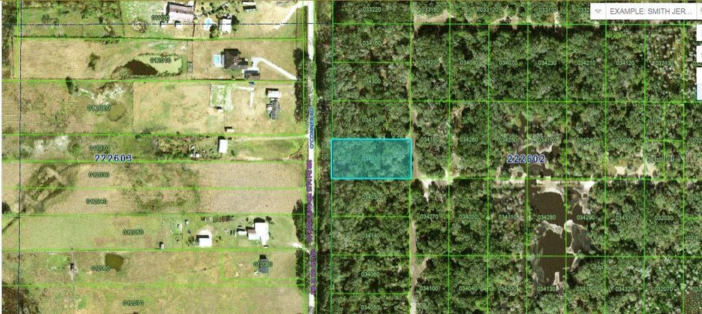 Photo of Oconner Road, Kathleen, FL 33849 (MLS # O6228316)