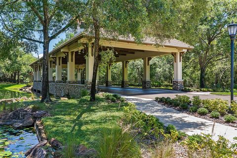 Tiny photo for 25855 Crossings Bluff Lane, Sorrento, FL 32776 (MLS # O6392701)