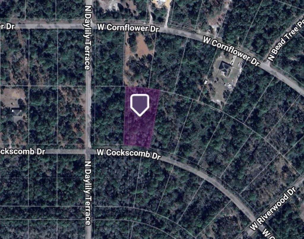 Photo of 11543 W Cockscomb Drive, Crystal River, FL 34428 (MLS # TB8424826)