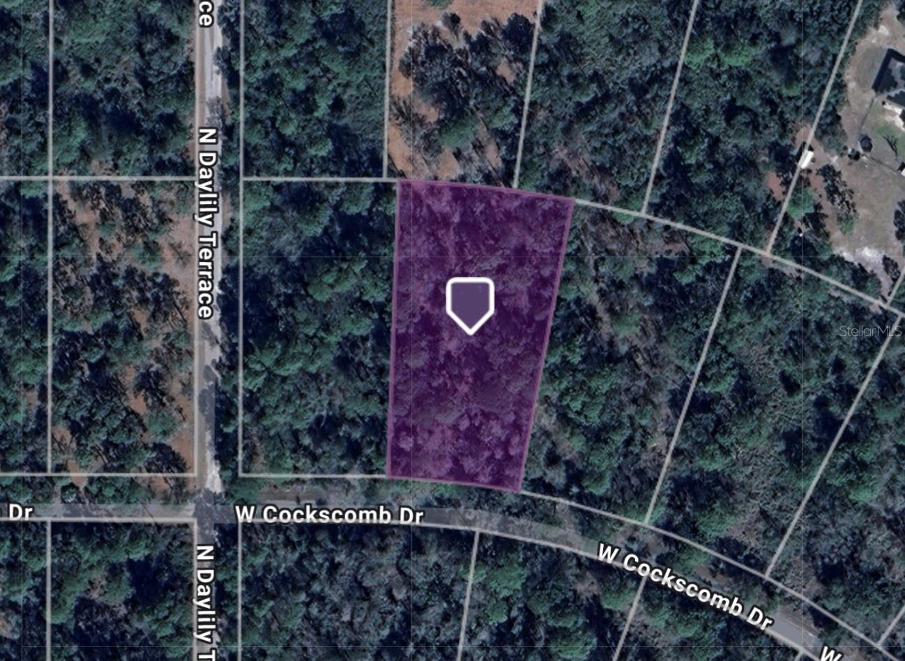 Build your dream home on this 1.31-acre wooded lot located in the desirable Crystal Manor community of Crystal River. This property offers privacy, paved road access, and a peaceful natural setting with mature trees. No HOA, you’ll enjoy freedom to design the lifestyle you want. Outdoor enthusiasts will love the proximity to Lake Rousseau, and the Withlacoochee River. . Don’t miss this opportunity to own a large lot in one of Citrus County’s most desirable areas. Perfect for buy and hold land investors or builders.