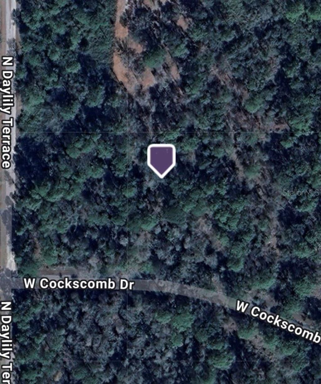 Photo of 11543 W Cockscomb Drive, Crystal River, FL 34428 (MLS # TB8424826)