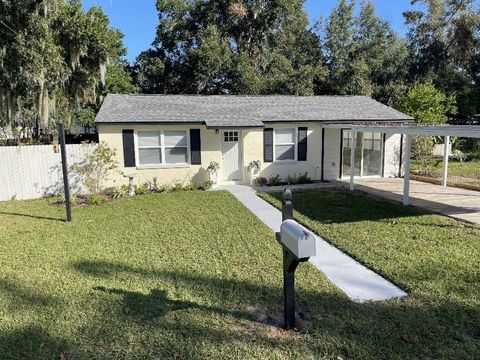 A home in MOUNT DORA