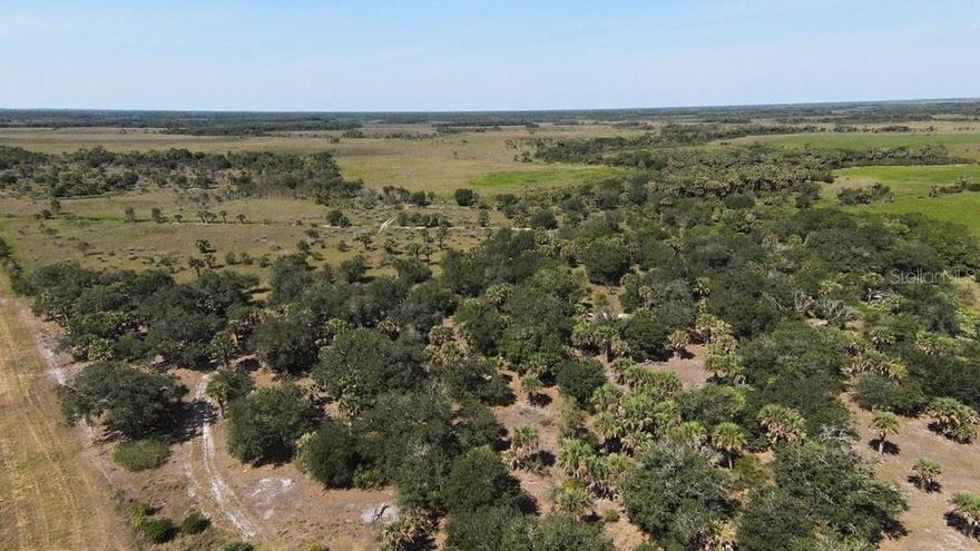 546.79 Acres located NW 344th Street. State Park on west and south boundaries. Access provided by 70 wide parcel that you own. Excellent hunting and conservation opportunities. Property free and clear with no existing conversation easements.