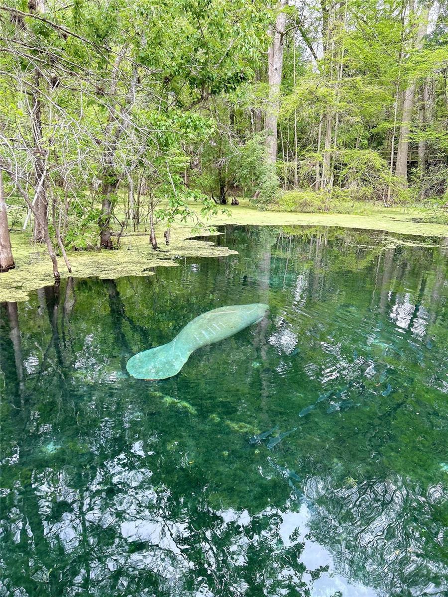 FANIN SPGS ANX - Residential