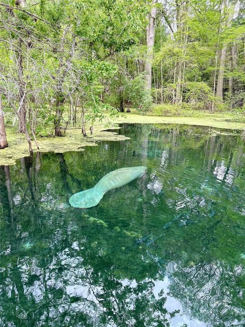 Tiny photo for 7296 NW 170th Street, Trenton, FL 32693 (MLS # W7884450)