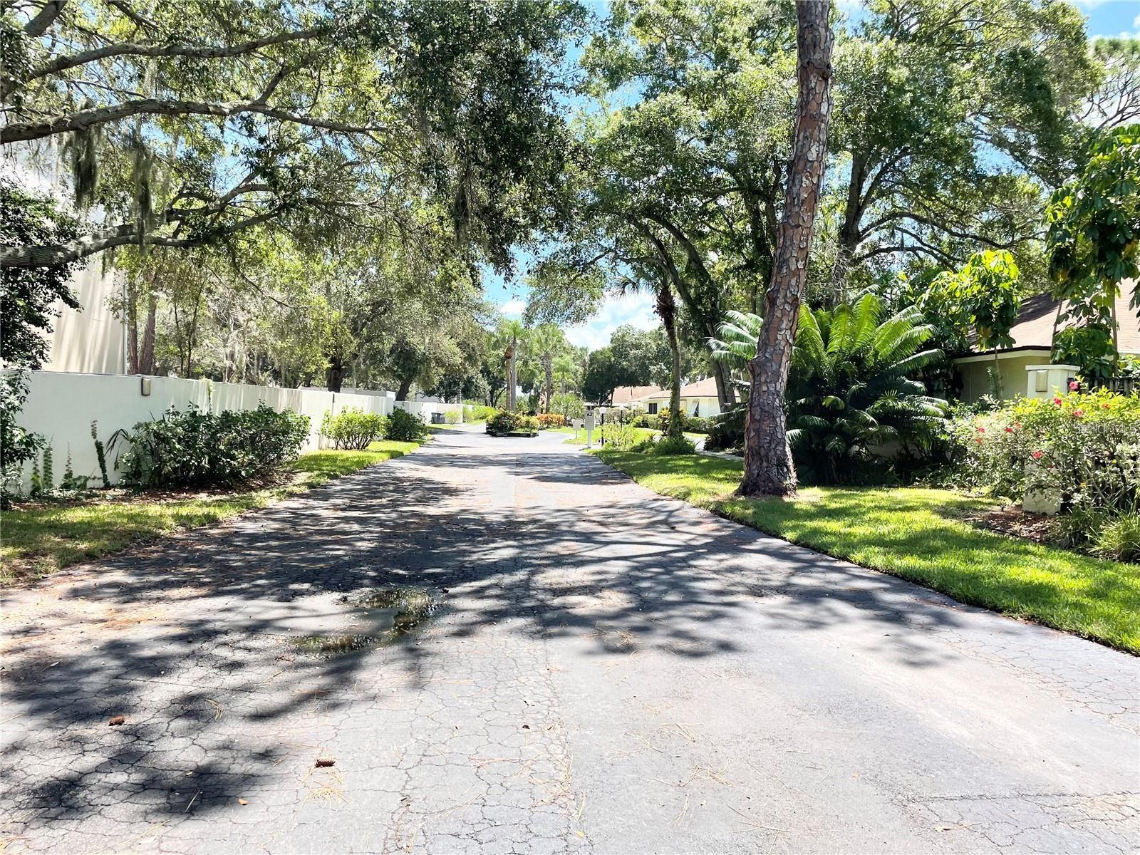 ROYAL PALM VILLAS - Residential